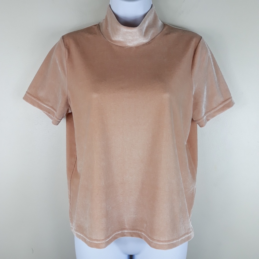 Madewell| Velvet Mock Neck Crop Top (A306)